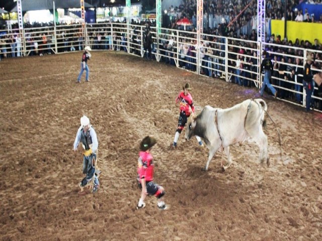 MP quer que prefeituras regio fiscalizem rodeios e eventos com animais