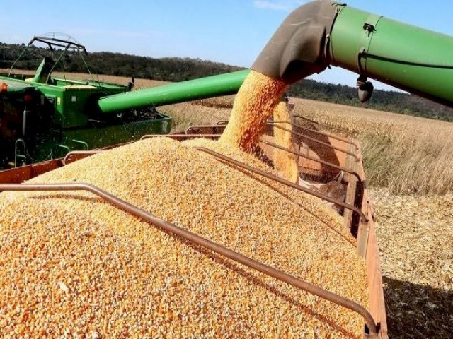 Produo de soja em Mato Grosso do Sul tem aumento de 49,4% Publicado em: 12/12/2022 | DOURADOS AGORA