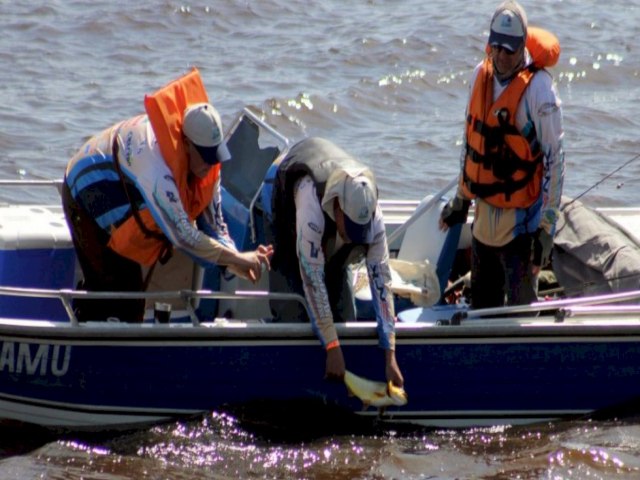 Temporada de pesca e solte est liberada nas calhas do Rio Paraguai e Paran Em 2022, cerca de 3.731 licenas para pesca amadora foram emitidas no Estado Publicado em: 01/02/2023 | MIDIAMAX