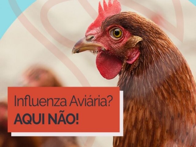 PREVENO Campanha sobre Influenza Aviria alerta populao para que Brasil continue livre da doena 01 fevereiro 2023 - Por MAPA