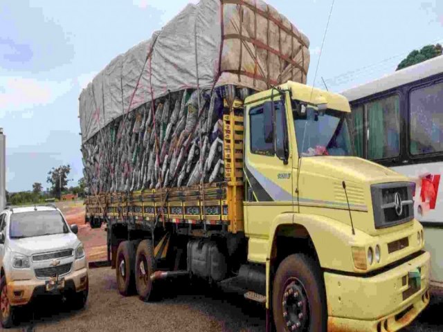 NOVA ANDRADINA: Caminhoneiro  multado em R$ 16,2 mil por transportar 54 m de carvo ilegal em MS A carga era transportada sem o Documento de Origem Florestal Publicado em: 26/02/2023 | MIDIAMAX/NATHLIA RABELO