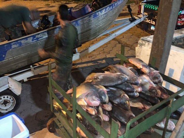 R$ 55 MIL EM MULTAS Mais de meia tonelada de pescado  apreendido em MS durante operao 28 fevereiro 2023 - Por Redao