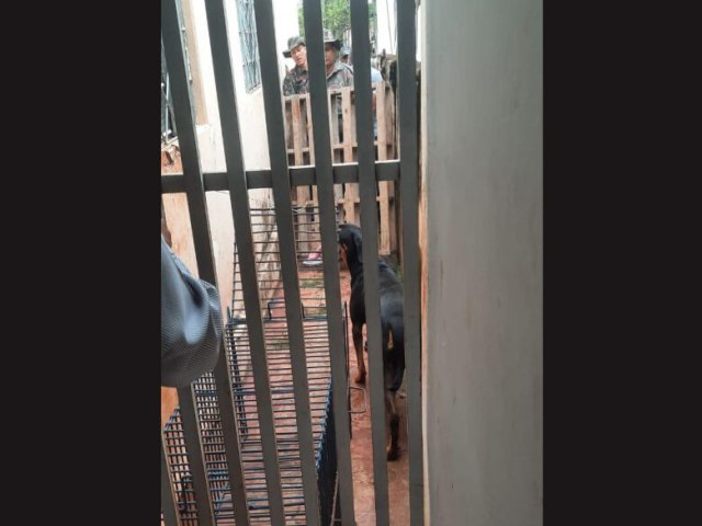 MAUS TRATOS Rottweiler abandonado em quintal  resgatado aps denncia 17 maro 2023 - Por Redao