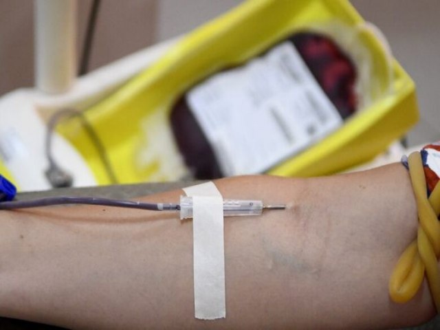 SADE Hemosul adota esquema especial para doaes de sangue no feriado 06 abril 2023 - Por Da Redao