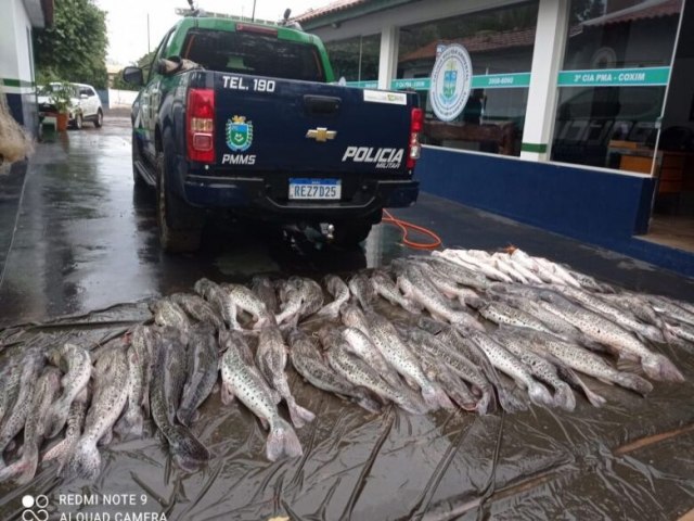 REGIO Aps perseguio em rio, pescador  preso e autuado em R$ 10,2 mil por pesca predatria 06 abril 2023 - Por Da Redao