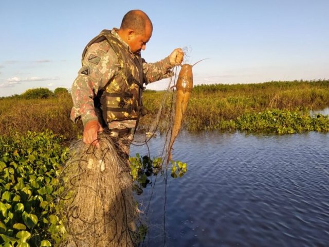 PESCA PREDATRIA PMA liberta peixes encontrados em petrechos proibidos em regio de unidade de conservao 11 abril 2023 - Por Da Redao