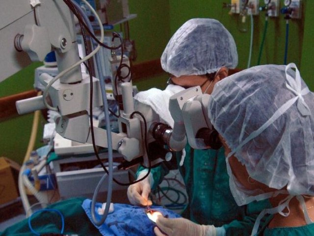 SADE PBLICA Hospitais universitrios so referncia em transplantes de rgos 30 abril 2023 - Por Redao