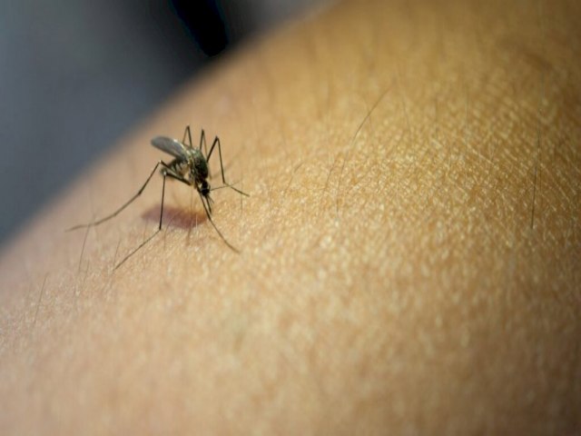 Dengue faz mais uma vtima e mortes chegam a 34 em MS Publicado em: 27/07/2023 | DOURADOS AGORA/REDAO