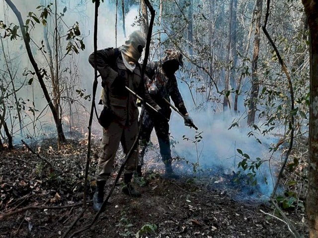 Estudo mostra que incndios queimaram 30% de rea do Pantanal em 2020 Publicado em: 01/09/2023 | DOURADOS AGORA/REDAO