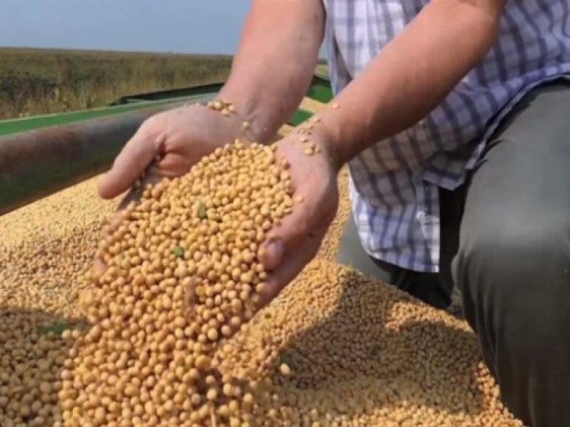 AGRICULTURA Mato Grosso do Sul produzir menos soja em 23/24, estima Aprosoja 18 setembro 2023 -  Por Canal Rural