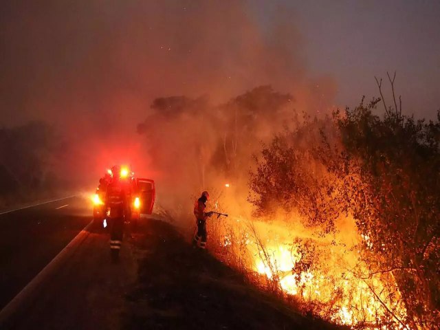 Brasil Monitoramento mostra que 99% dos incndios so por ao humana Pesquisadora alerta para situao crtica em trs biomas  Agncia Brasil  20/09/2024