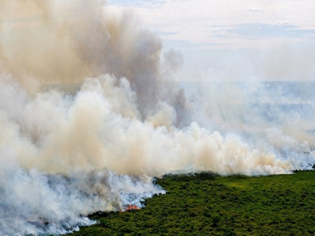 Fumaa de queimadas no Pantanal chega a MG e ao resto do Sudeste a partir de quinta.