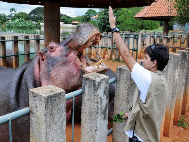 Zoolgico de Braslia reabre para visitao.