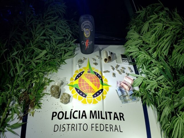 PMDF prende homem com plantao de Cannabis Lombrativa em Sobradinho DF.