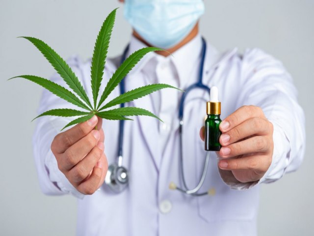 Cannabis Medicinal...Estudo indica que o DF possui o maior nmero de pacientes. 