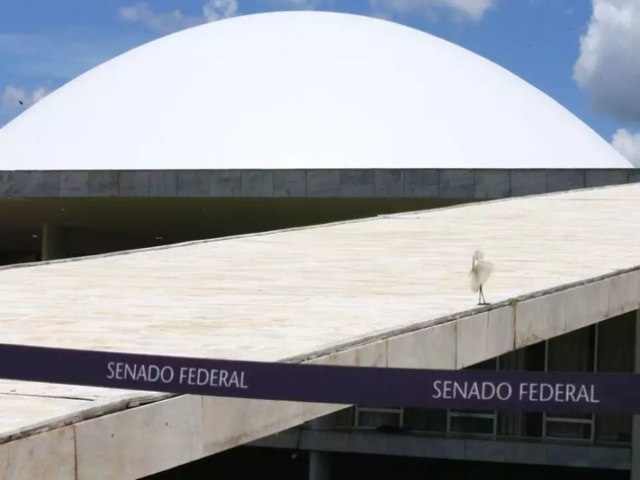 Senadores tentam esticar mandato para 10 anos alterando o Cdigo Eleitoral