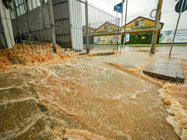 Quem  o responsvel? Eleitor geralmente culpa os polticos pelos desastres naturais