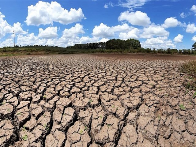 Metade dos municpios brasileiros no possuem aes contra a crise climtica