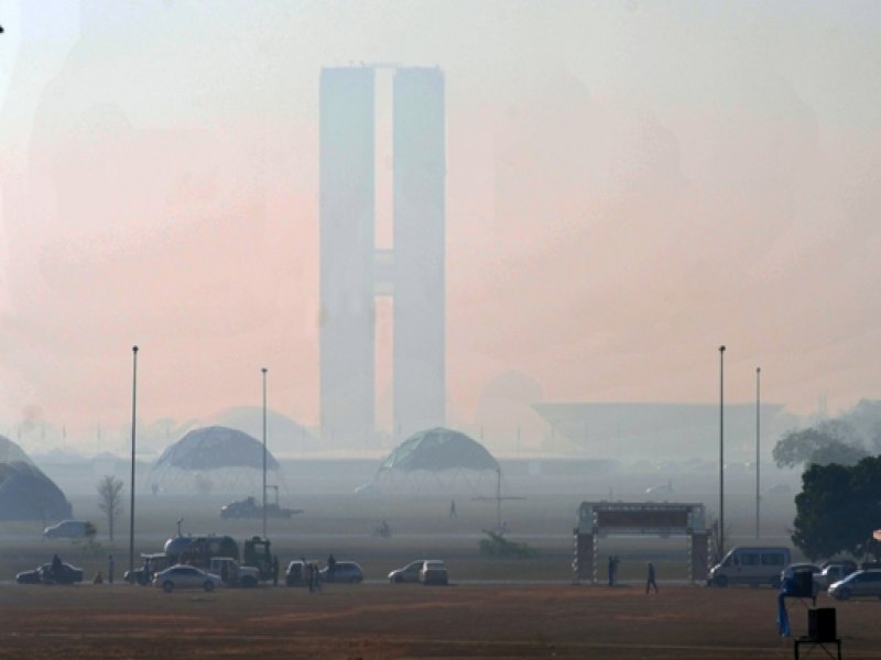 No DF, as antas de verdade quase morrem queimadas diante das 