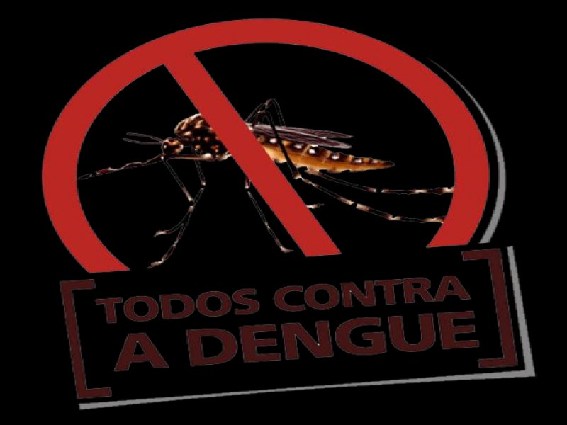 A dengue no acabou. Cruzeiro recebe aes preventivas e inspees domiciliares contra a dengue