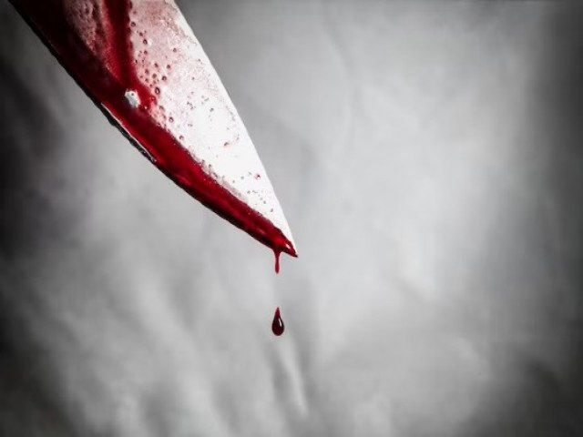 MATOGROSSO - Homem mata esposa a facadas durante discusso