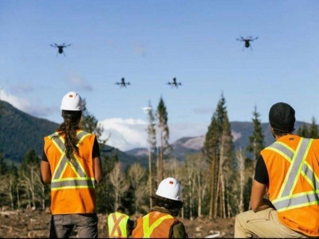 Startup usa drones para plantar 1 bilho de rvores at 2028; Brasil est nos planos