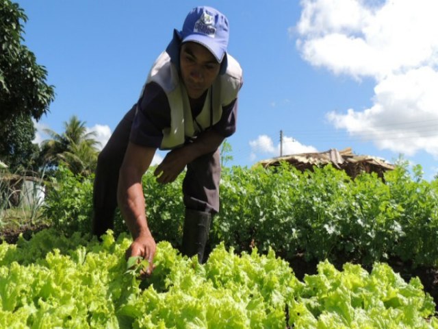 Municpios pernambucanos se destacam na produo de frutas e hortalias