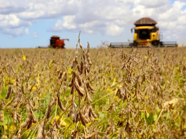 Preos agrcolas devem perder fora na prxima dcada; emisses de gases aumentaro, diz FAO e OCDE