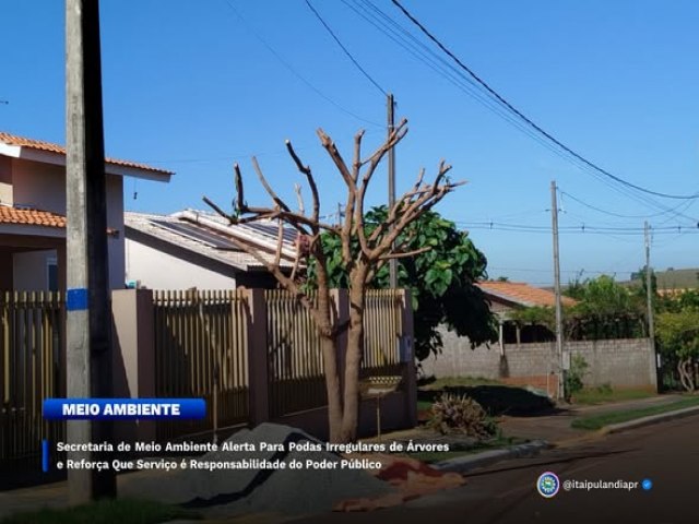 #MEIOAMBIENTE 🌳📢 