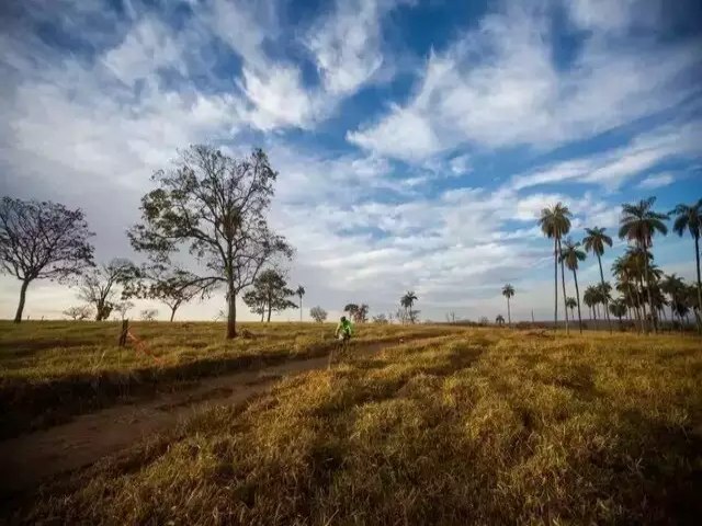 Pesquisa indica risco de desmatamento de at 40% no Cerrado de MS