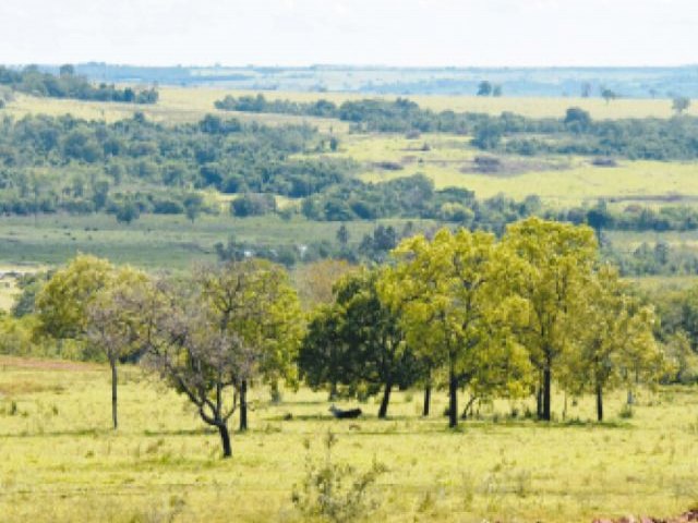 Estado do MS evitou desmatamento de 14,7 mil 