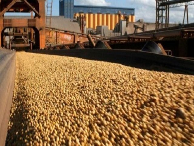 Produtos do agronegcio responderam por 90% das exportaes de MS