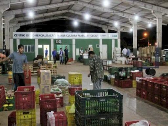 Agricultores familiares de MS venderam 2,4 mil toneladas de hortifrtis na Ceasa