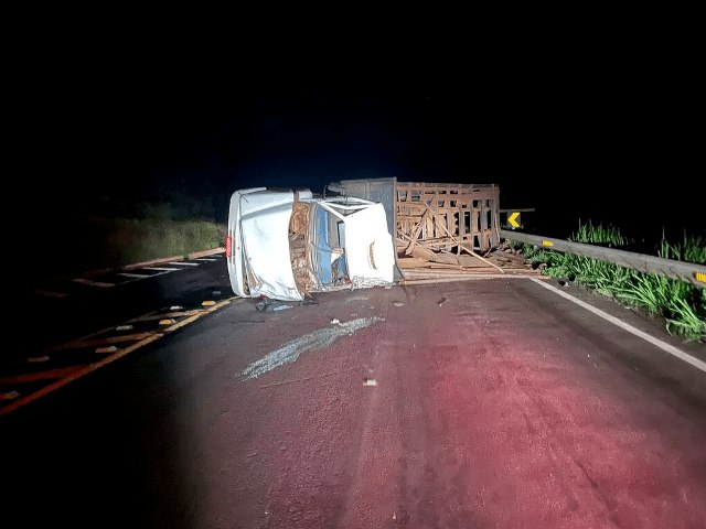 Dois so socorridos em estado grave aps caminho com eucalipto tombar na Serra de Maracaju