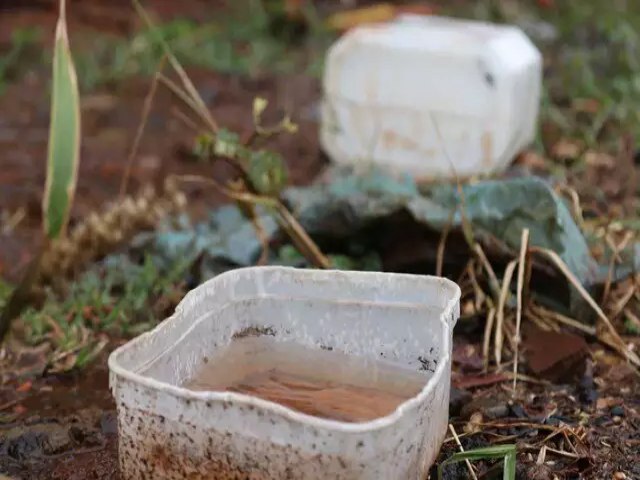 Mato Grosso do Sul registra 2,8 mil casos de dengue em janeiro