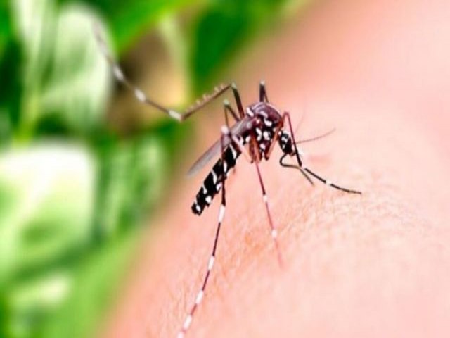 Maracaju realiza fora-tarefa contra a dengue, nos bairros e distrito da cidade