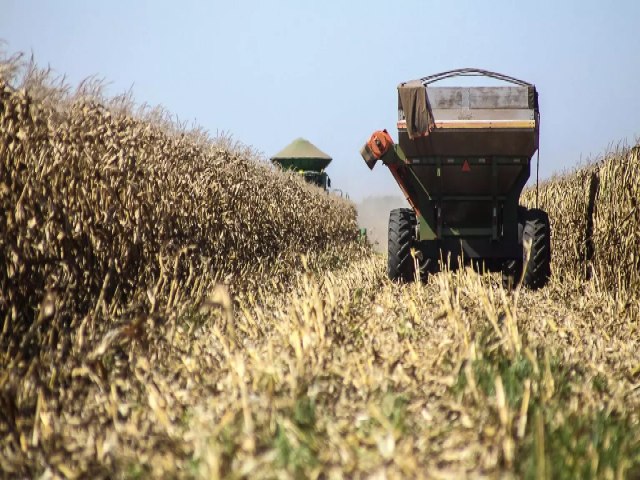 Seca no sul do Brasil e na Argentina: Como produtores de MS podem ser impactados pelo fenmeno?