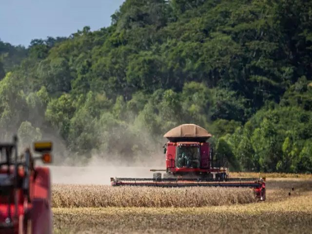 Chuva d trgua e favorece colheita da soja, que j supera 25% da rea em MS