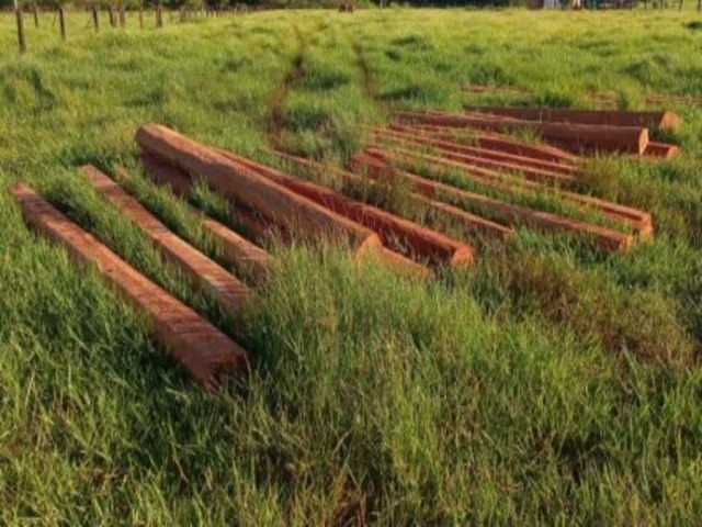 PMA autua fazendeiro em R$ 16,8 mil por derrubar rvores ilegalmente em Maracaju