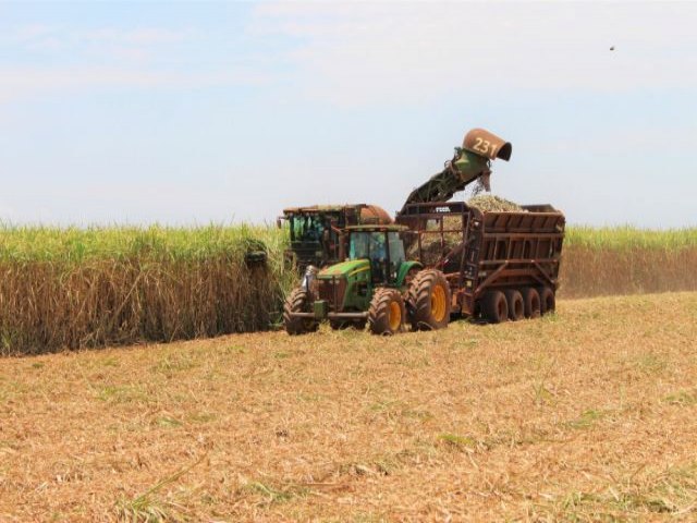 MS: Produo agrcola deve superar a marca de 70 milhes de toneladas em 2023