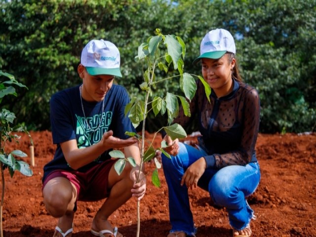 Com apoio da iniciativa privada, a Prefeitura deu incio ao reflorestamento da rea de Preservao Permanente do Rio Montalvo