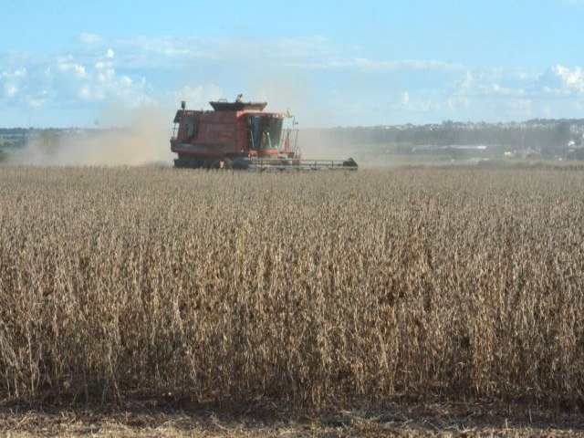 Juro e dlar altos e preo da soja baixo preocupam produtores