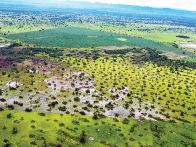 Projeto tenta incentivar mercado de R$ 4 bilhes na regio do Pantanal