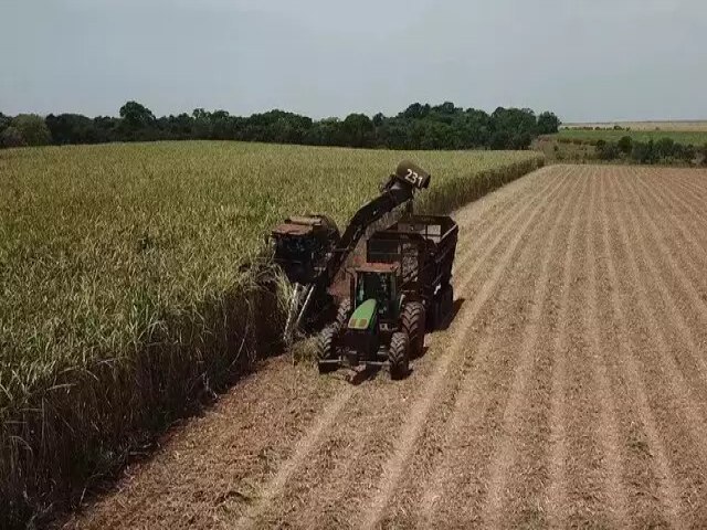 Processamento de cana atinge 43,5 milhes de toneladas com dados da Expocanas 2023