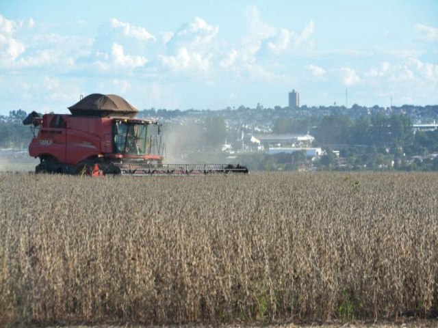 Safra de 2023 pode ser 13,9% maior do que a do ano passado, diz IBGE