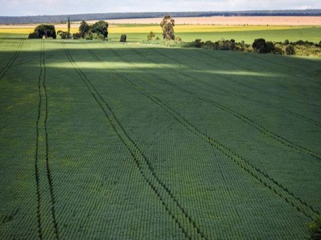 Mudanas climticas afetam produo de soja e cria desafios no seguro rural