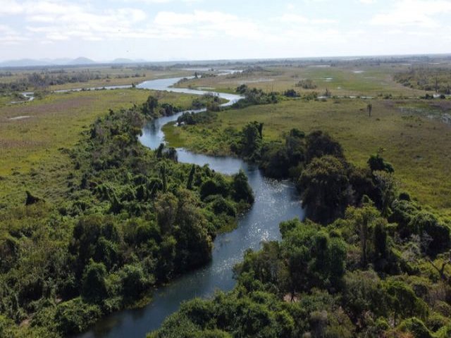 Riedel diz que prepara projeto de lei para regulamentar atividades agropecurias no Pantanal