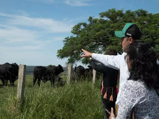 Misso tcnica do Mxico faz visita para conhecer sistemas de produo de MS