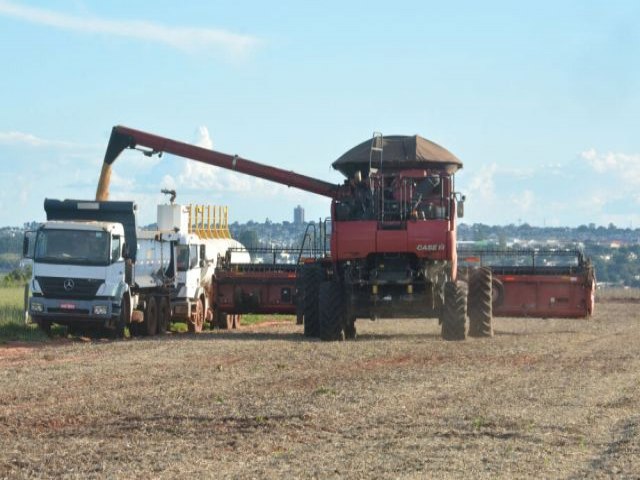 Colheita da soja e plantio de milho esto quase concludos em Mato Grosso do Sul