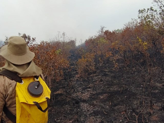 Campanha realiza preveno de combate a incndios florestais em MS